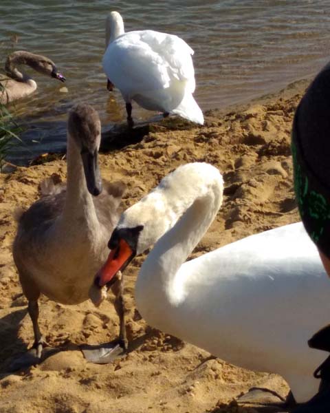 IMG 20170930 124926 HDR