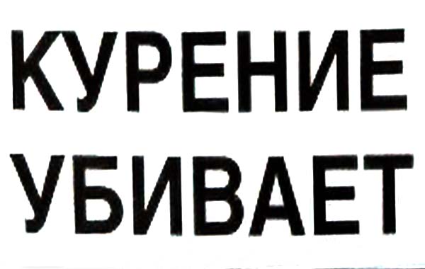 Pl 04